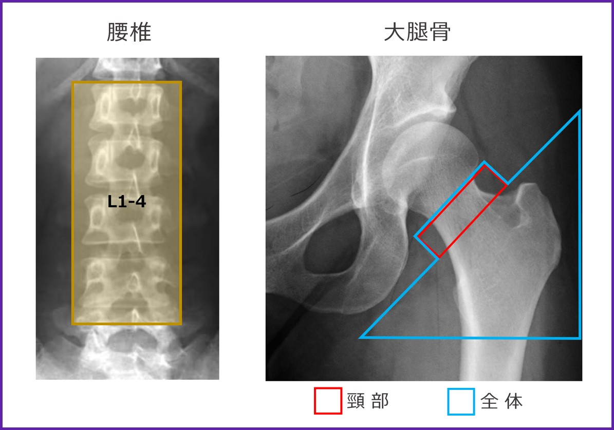 Clinical Tips_Reproducibility02.jpg